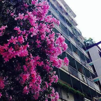 Bed & Breakfast B&B Mundi Milan Italy